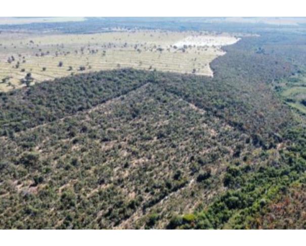 Foto de Lote 16 - Serranópolis - GO -  zona rural - Área de Terras
