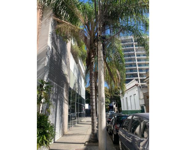 Foto de Lote 5 - Rio de Janeiro - RJ - Botafogo - 5 Salas Comerciais