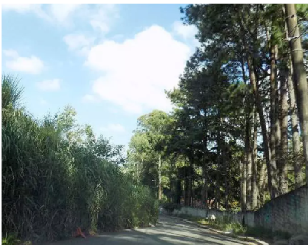 Foto de Lote 28 - Terreno - A.T. 1.800 m² - Itapevi - SP