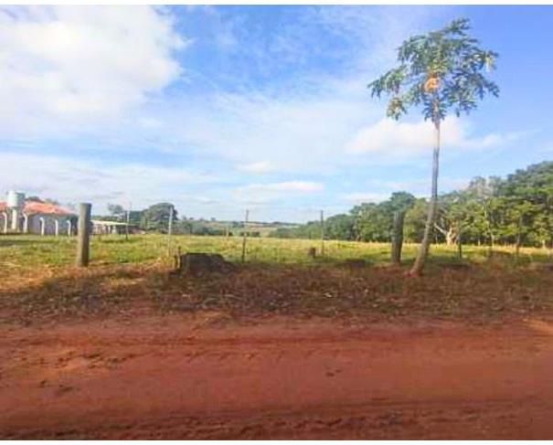 Foto de Iacri - SP - B. Sete de Setembro - Sítio Nova Era