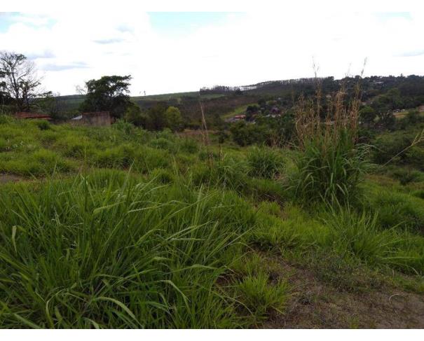 Foto de Lote 5 - Limeira - SP - Jd. Regina Bastelli - Terreno
