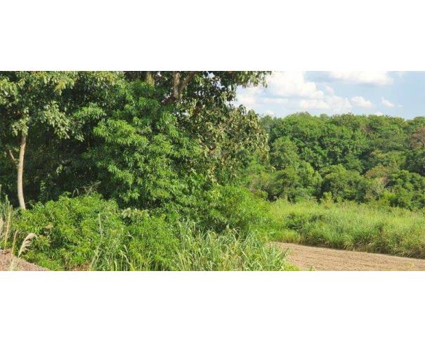 Foto de Lote 19 - Maringá - PR - Pq. Industrial - Terreno