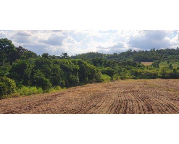 Foto de Lote 10 - Maringá - PR - Rural - Área de Terras
