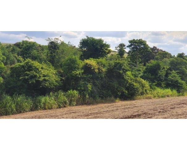 Foto de Lote 8 - Maringá - PR - Rural - Área de Terras