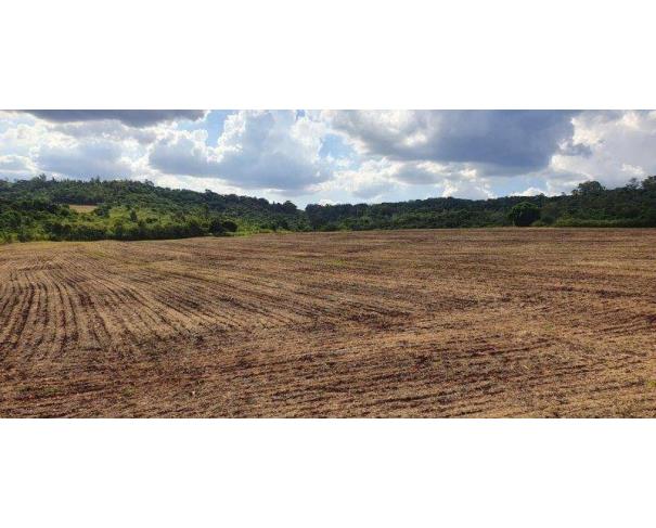 Foto de Lote 7 - Maringá - PR - Rural - Área de Terras