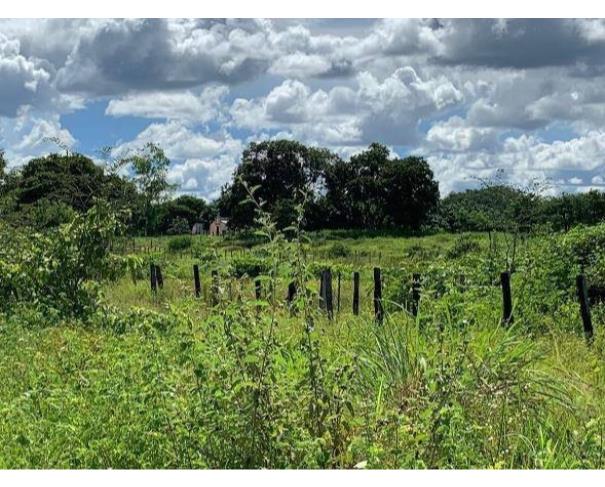 Foto de Lote 8 - Várzea Grande - MT - Pari - Gleba de Terras