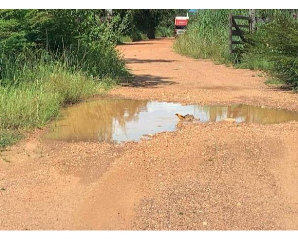 Foto de Lote 8 - Várzea Grande - MT - Pari - Gleba de Terras