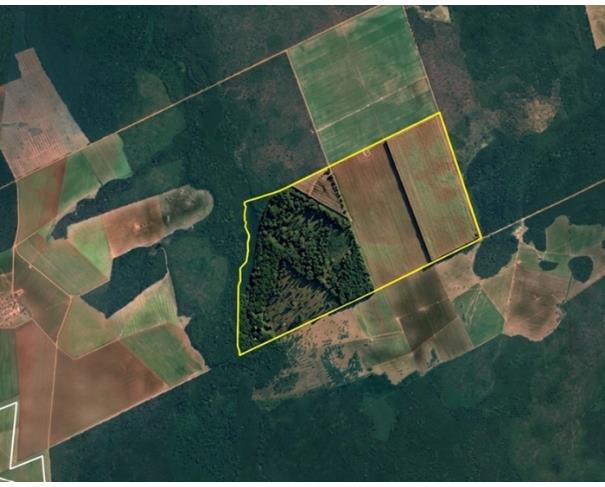 Foto de Fazenda Esmeralda com 1.020 HA