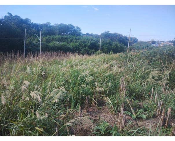 Foto de Lote 3 - LOTE URBANO em Cafelândia/PR
