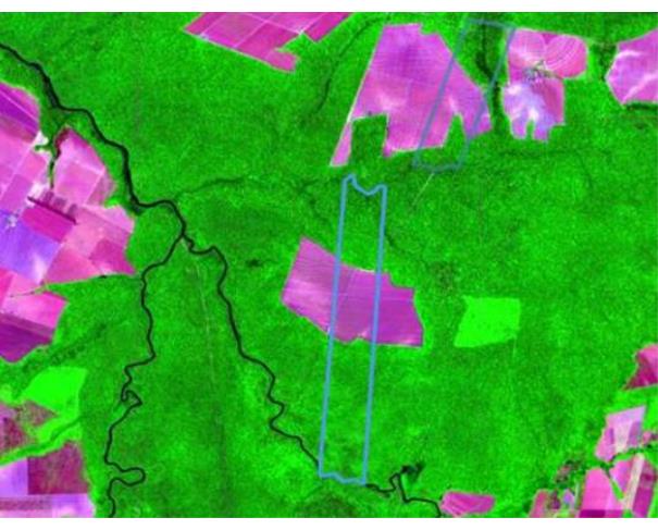Foto de Lote 12 - Nova Maringá - MT - Faz. Primavera V - Área Rural