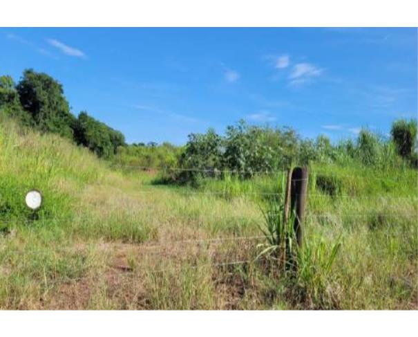 Foto de Lote 10 - Paranavaí - PR - Área rural