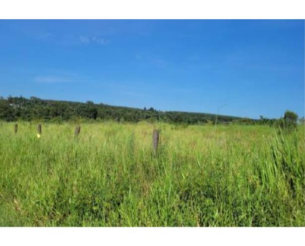 Foto de Lote 15 - Paranavaí - PR - Área rural
