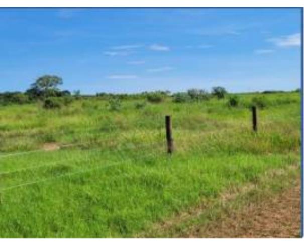 Foto de Lote 10 - Paranavaí - PR - Área rural