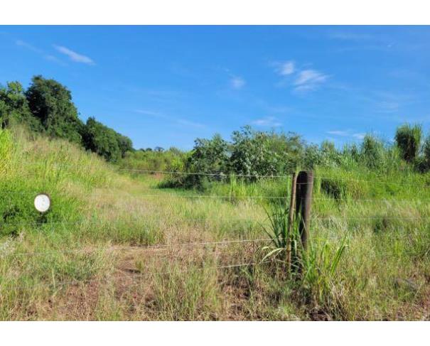 Foto de Lote 15 - Paranavaí - PR - Área rural