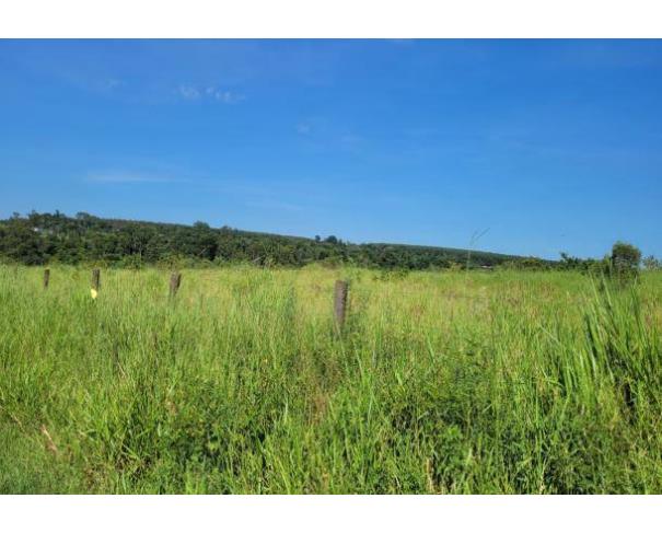 Foto de Lote 15 - Paranavaí - PR - Área rural