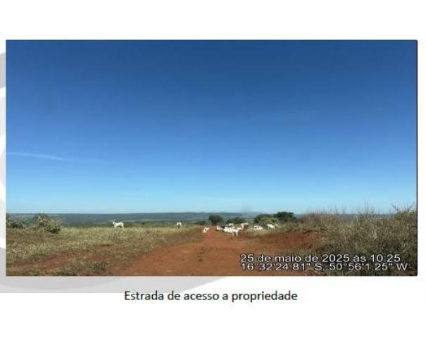 Foto de Lote 6 - Ivolândia - GO - Fazenda