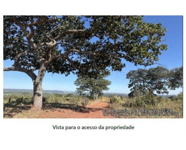 Foto de Lote 6 - Ivolândia - GO - Fazenda