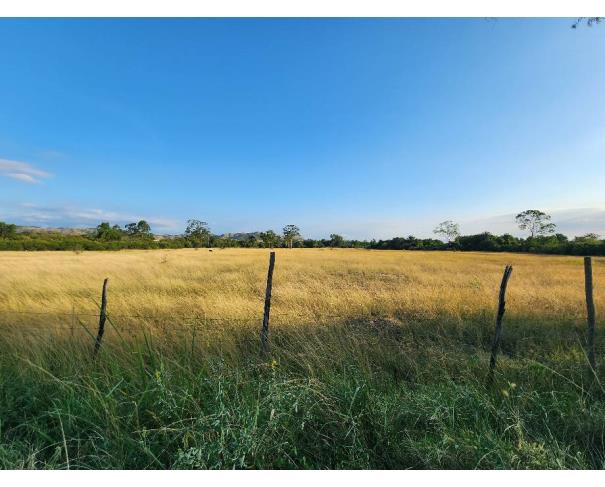 Foto de Lote 6 - Rio de Janeiro - RJ - Paciência - Terreno