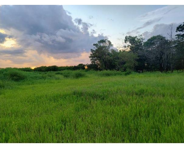 Foto de Lote 11 - Sorocaba - SP - Itangua - Terreno