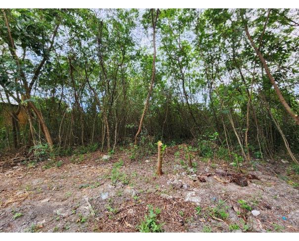 Foto de Lote 35 - Rio de Janeiro - RJ - Rec. Bandeirantes - Terreno