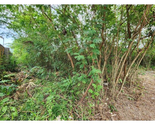 Foto de Lote 35 - Rio de Janeiro - RJ - Rec. Bandeirantes - Terreno