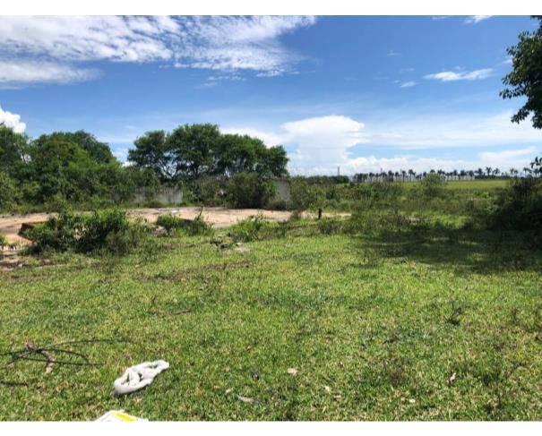 Foto de Lote 6 - Taubaté - SP - Pq São Cristóvão - Chácara