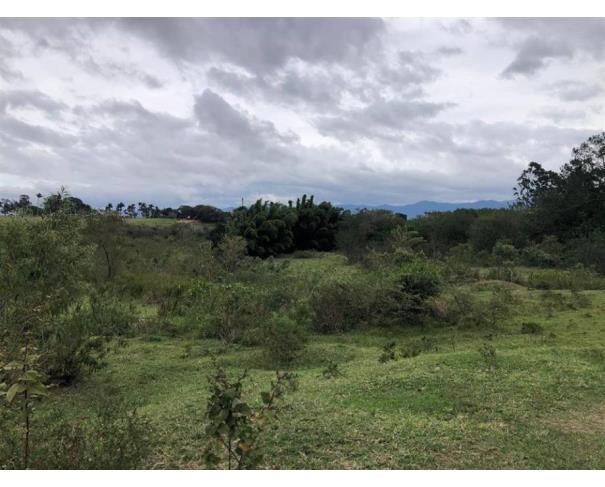 Foto de Lote 33 - Taubaté - SP - Pq São Cristóvão - Chácara