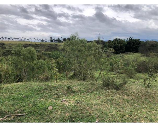 Foto de Lote 17 - Taubaté - SP - Pq São Cristóvão - Chácara