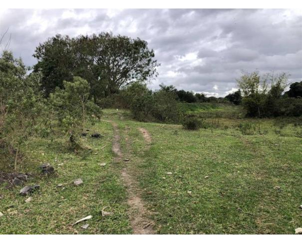 Foto de Lote 33 - Taubaté - SP - Pq São Cristóvão - Chácara