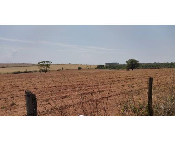 Foto de Lote 10 - Pongaí - SP - Área rural