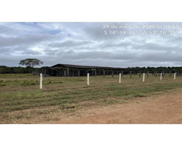 Foto de Lote 5 - Novo São Joaquim - MT - Fazenda com 3.627,6545 ha
