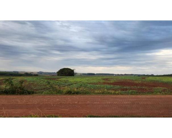 Foto de Lote 9 - Terra Roxa - PR - Área rural