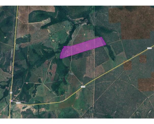 Foto de Lote 31 - Presidente Kennedy - TO -  zona rural - Fazenda