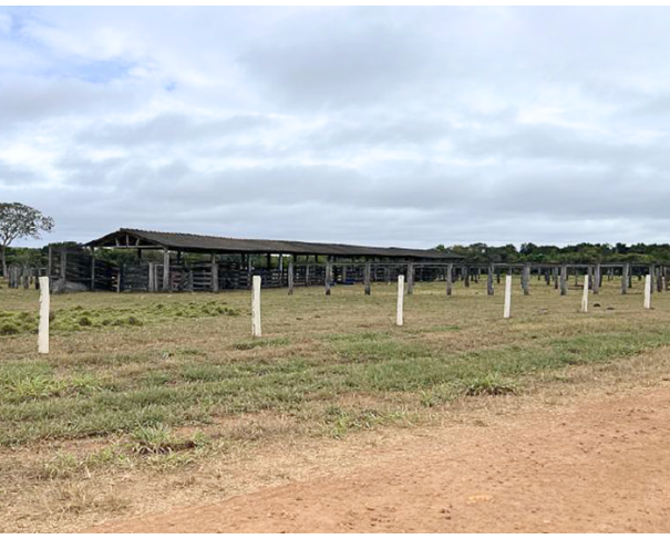 Foto de Lote 4 - Novo São Joaquim - MT - Fazenda com 3.627,6545 ha