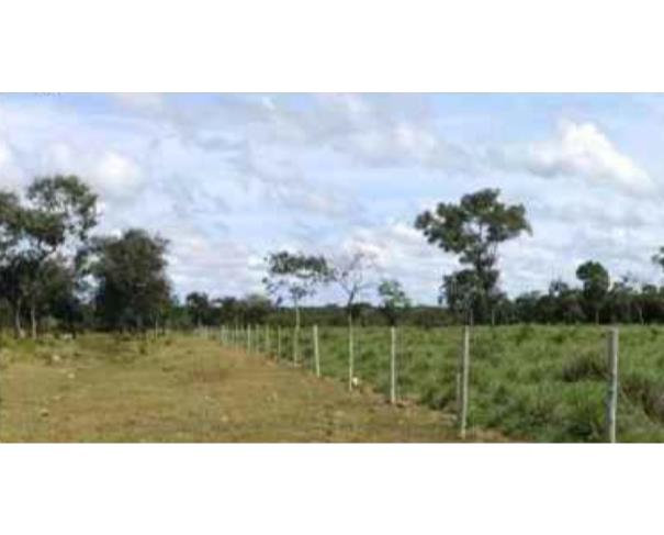 Foto de Lote 21 - Araguaçu - TO - zona rural - Fazenda