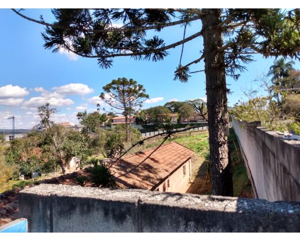 Foto de Lote 11 - Cotia - SP - Jd. Sabia - Gleba Urbana