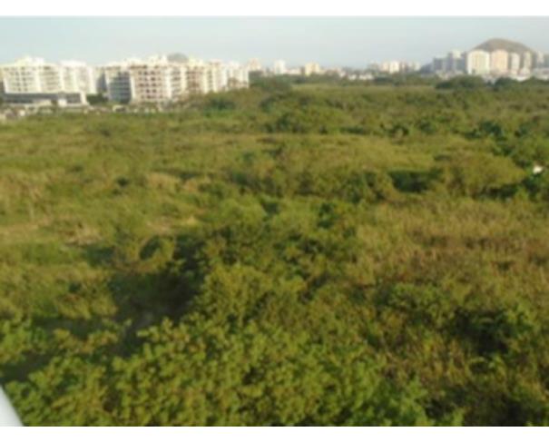 Foto de Lote 12 - Rio de Janeiro - RJ - Rec. Bandeirantes - Terreno