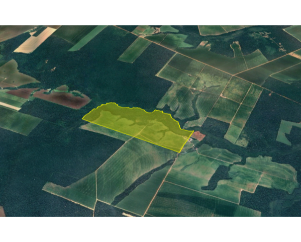 Foto de Sinop - MT - Gleba com 331,54 ha