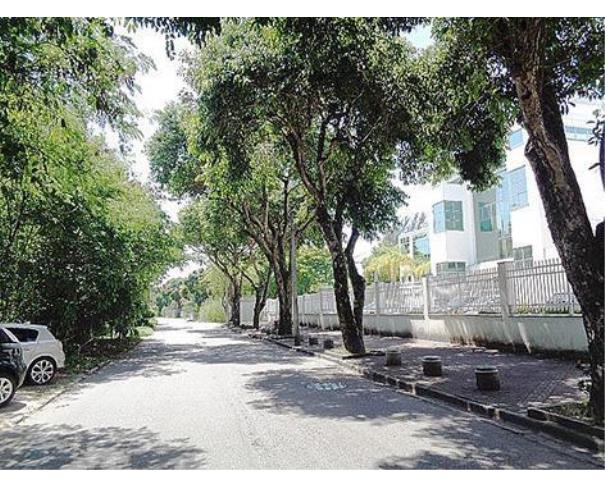 Foto de Lote 6 - Barra da Tijuca - Rio de Janeiro - RJ - Loja