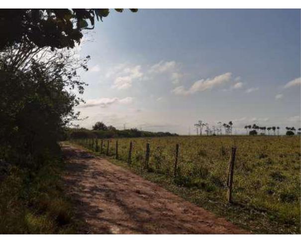 Foto de Lote 3 - Zona Rural - Campos dos Goytacazes - RJ - Sítio