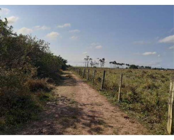 Foto de Lote 3 - Zona Rural - Campos dos Goytacazes - RJ - Sítio
