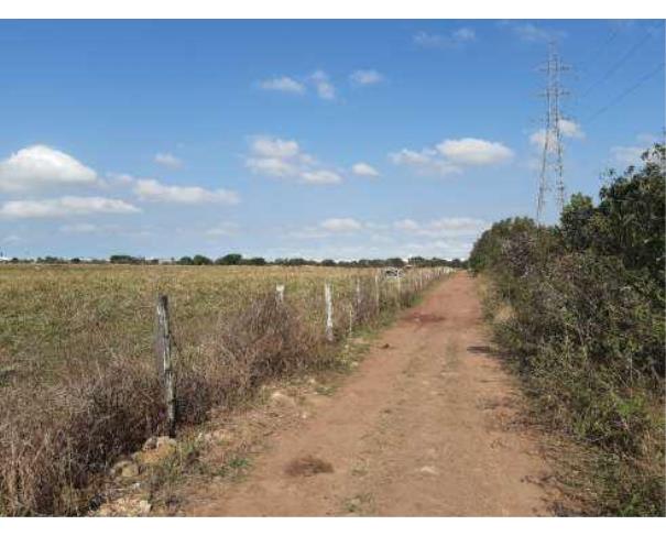Foto de Lote 3 - Zona Rural - Campos dos Goytacazes - RJ - Sítio