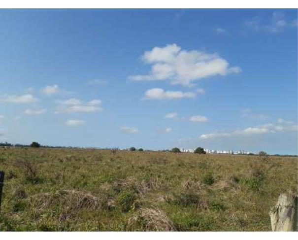 Foto de Lote 3 - Zona Rural - Campos dos Goytacazes - RJ - Sítio