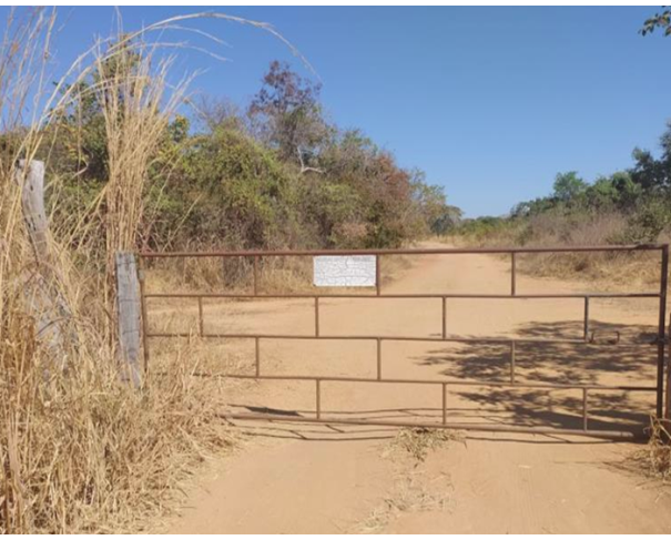 Foto de Lote 9 - Lagoa Grande - MG - Fazenda Gameleira