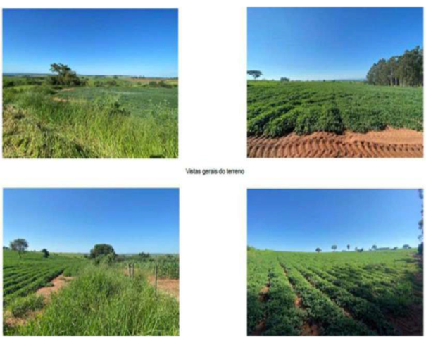 Foto de Lote 20 - Marília - SP - Sitio Santa Ernestina 