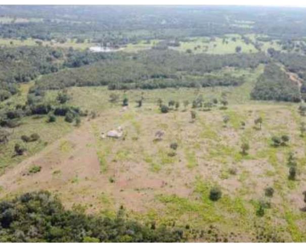 Foto de Lote 21 - Araguaçu - TO - zona rural - Fazenda