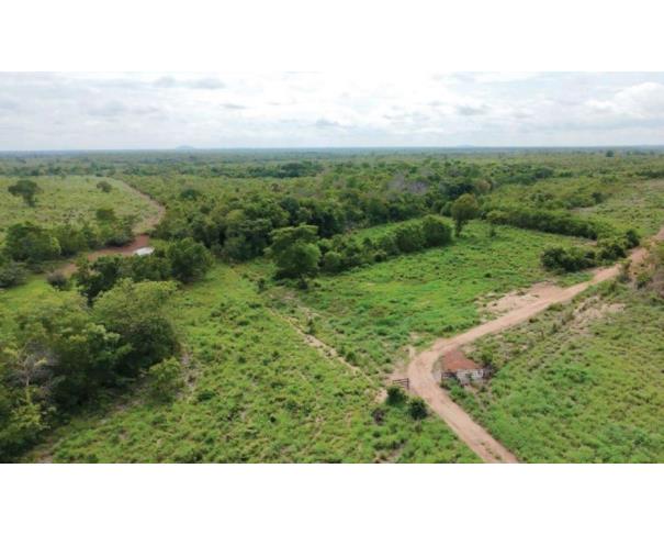 Foto de Lote 11 - Araguaçu - TO - zona rural - Fazenda