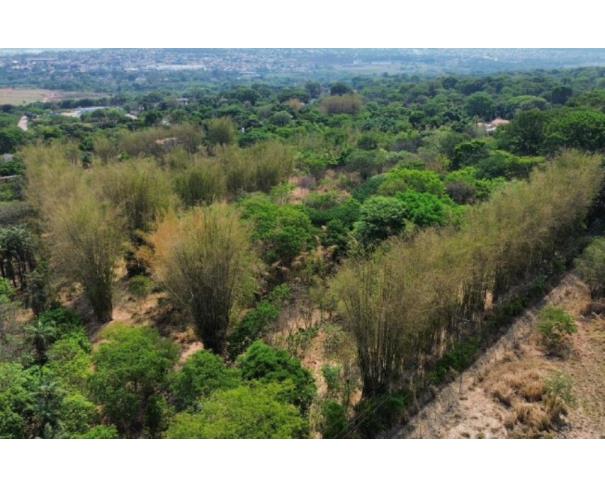 Foto de Lote 5 - Goiânia - GO - B. Fazenda Retiro - Terreno