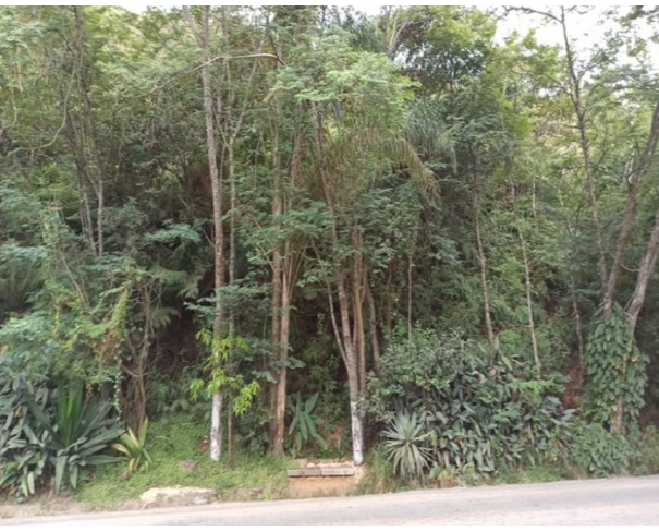Foto de Lote 15 - Juiz de Fora - MG - Terreno