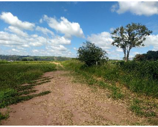 Foto de Área de Terras em Brotas - SP